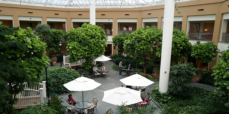 Meadow Ridge Atrium